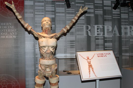 Tour image 5