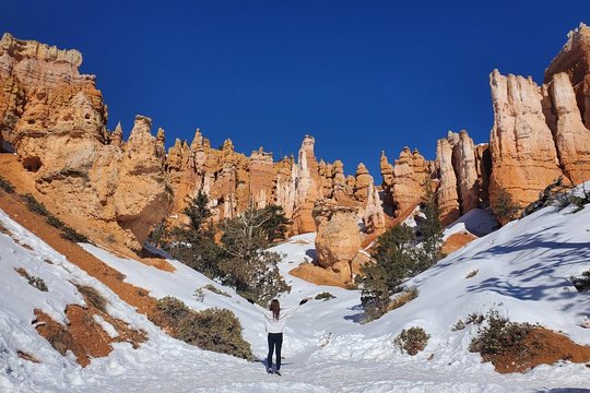 Tour image 4
