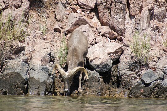 Tour image 12