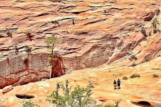 Tour image 8