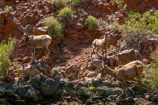 Tour image 5